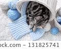 Kitten in a basket with balls of yarn 131825741
