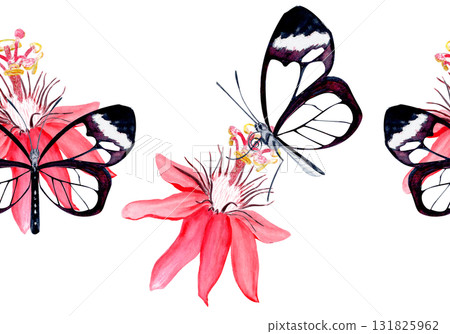Glasswing butterfly and passionflower blossom elegant watercolor seamless border on white. Hand-painted art perfect for tropical decor, botanical card, eco branding, packaging, or wedding invitations. Glasswing butterfly and passionflower blossom elegant watercolor seamless border on white. Hand-painted art perfect for tropical decor, botanical card, eco branding, packaging, or wedding invitations. 131825962