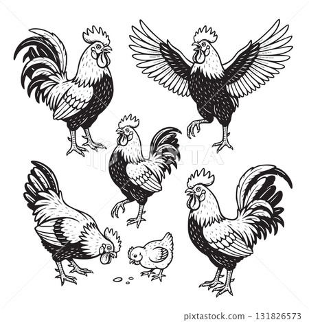 Set of various rooster and hen illustrations in a classic engraved sketch style, perfect for farms and rustic food brands. Set of various rooster and hen illustrations in a classic engraved sketch style, perfect for farms and rustic food brands. 131826573