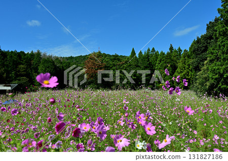 宇宙和藍天 131827186