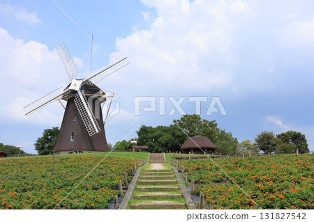 Osaka Prefecture, Osaka City, Flower Expo Memorial Park Tsurumi Ryokuchi, Windmill Hill Osaka Prefecture, Osaka City, Flower Expo Memorial Park Tsurumi Ryokuchi, Windmill Hill 131827542