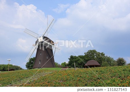 Osaka Prefecture, Osaka City, Flower Expo Memorial Park Tsurumi Ryokuchi, Windmill Hill 131827543