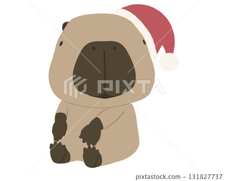 戴著聖誕帽的水豚 戴著聖誕帽的水豚 131827737