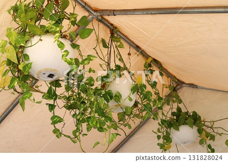 Sun shelter in a city park on the Mediterranean coast. Sun shelter in a city park on the Mediterranean coast. 131828024