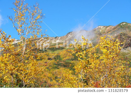 Tsugaike Nature Park is dyed in autumn colors - a spectacular view of autumn leaves Tsugaike Nature Park is dyed in autumn colors - a spectacular view of autumn leaves 131828579
