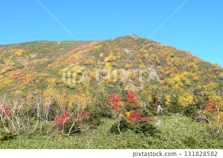 Tsugaike Nature Park is dyed in autumn colors - a spectacular view of autumn leaves Tsugaike Nature Park is dyed in autumn colors - a spectacular view of autumn leaves 131828582