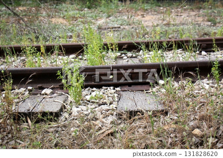 Close-up of the railway in Israel. Close-up of the railway in Israel. 131828620