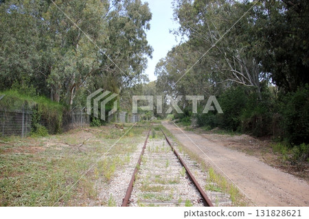 Close-up of the railway in Israel. Close-up of the railway in Israel. 131828621