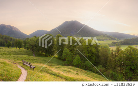 Meadow with road and bench during sunset in Berchtesgaden National Park 131828629