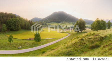 Meadow with road and bench during sunset in Berchtesgaden National Park 131828632