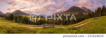 Meadow with road and bench during sunset in Berchtesgaden National Park 131828638