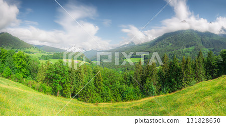 Meadow with road in Berchtesgaden National Park 131828650