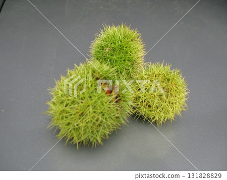 Autumn vintage car drive Autumn vintage car drive 131828829