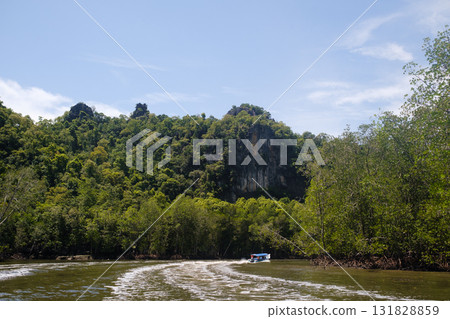 Explore the lush mangrove forests in Kilim Park on Langkawi Island and the rocky hills along the winding river under clear blue skies in a tropical paradise Explore the lush mangrove forests in Kilim Park on Langkawi Island and the rocky hills along the winding river under clear blue skies in a tropical paradise 131828859