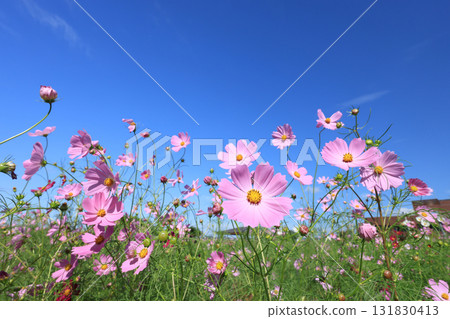 宇宙4408 131830413