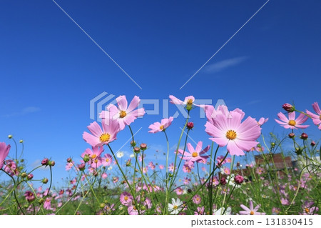 宇宙4409 131830415