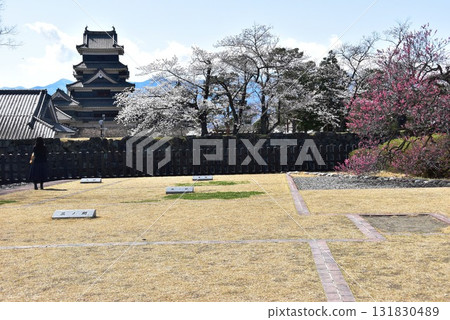 松本市:松本城二之丸宮遺址與步道 松本市:松本城二之丸宮遺址與步道 131830489