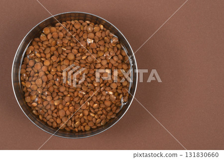 Brown Lentils Soaking 131830660