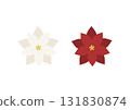 Red and white poinsettia vector illustration 131830874