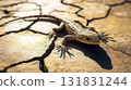 A lizard is laying on a rocky surface 131831244