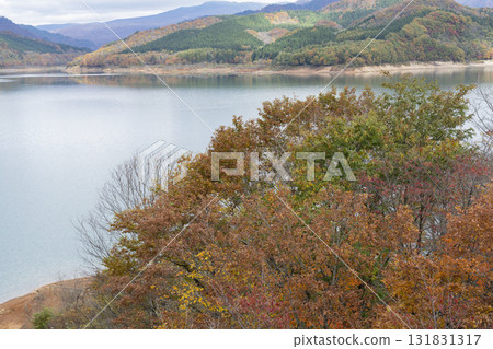 Takara秋葉 131831317