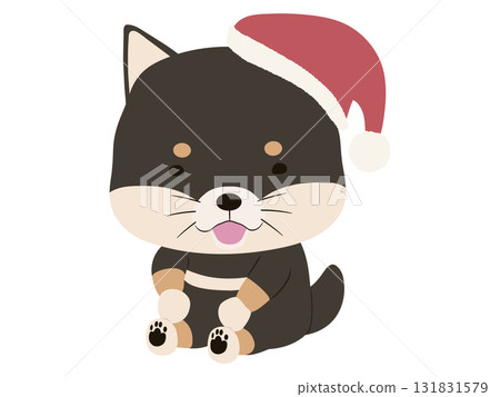 戴著聖誕帽微笑的黑色柴犬 131831579