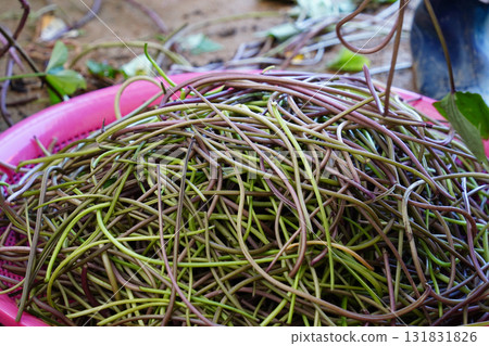 Freshly Harvested Sweet Potato Stems in a Basket, A Popular Korean Side Dish 131831826