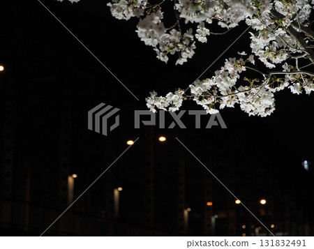 大阪櫻之宮橋夜櫻 大川櫻花枝點亮 大阪櫻之宮夜櫻 131832491