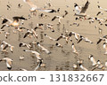 Flocks of seagulls taking flight over tranquil waters at dusk nature serene atmosphere 131832667
