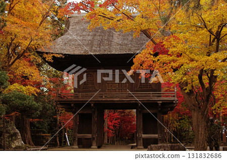 新座平林寺 新座平林寺 131832686