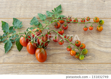 Just picked fresh tomatoes on the wooden background. Just picked fresh tomatoes on the wooden background. 131832749