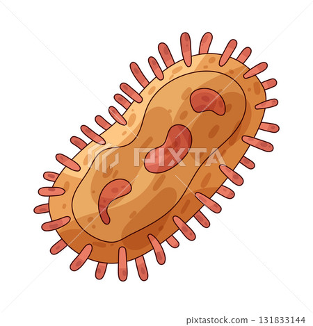 illustration of Bacteria 131833144