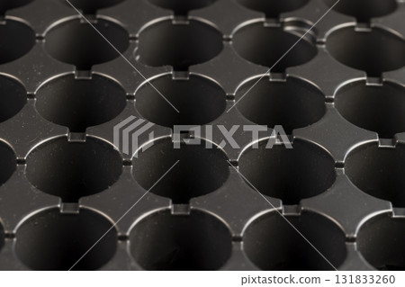 an empty plastic container with holes for growing seedlings, a black plastic tray for growing a large number of seedlings of agricultural or other plants before planting 131833260