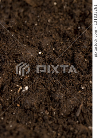 soil for growing seedlings or use to improve the soil quality in the field, fertile soil mixed with white pieces of perlite to improve the quality of soil soil for growing seedlings or use to improve the soil quality in the field, fertile soil mixed with white pieces of perlite to improve the quality of soil 131833261