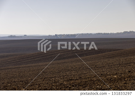 a plowed field with fertile soil prepared for sowing a new crop of plants, plowed for winter soil in autumn for sowing 131833297