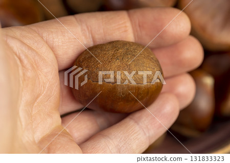 hold hard edible chestnut fruit in a brown shell on a wooden table, a group of raw fruits of chestnut with a hard shell of brown color hold hard edible chestnut fruit in a brown shell on a wooden table, a group of raw fruits of chestnut with a hard shell of brown color 131833323
