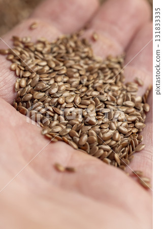 flax seeds for sowing, a large number of brown flax seeds for a new crop or germination for nutrition 131833335