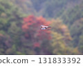秋季飛鳥 131833392