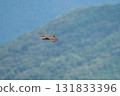 秋天，一隻當地的山鷹在山峰上翱翔 131833396