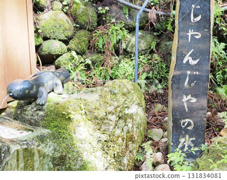 赤目48瀑布“Janja no Mizu” 131834081