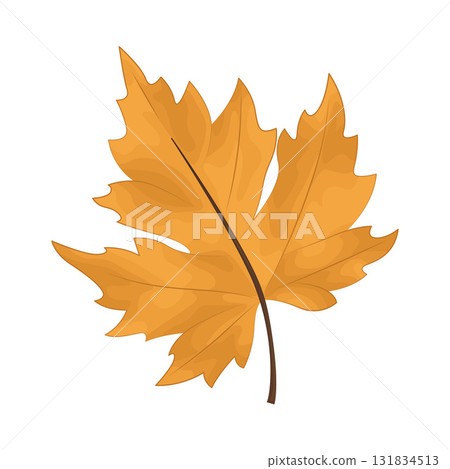 Illustration of autumn leaf  131834513