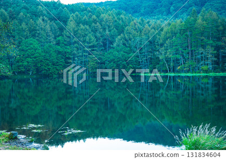 清晨神秘的米沙卡池塘 131834604