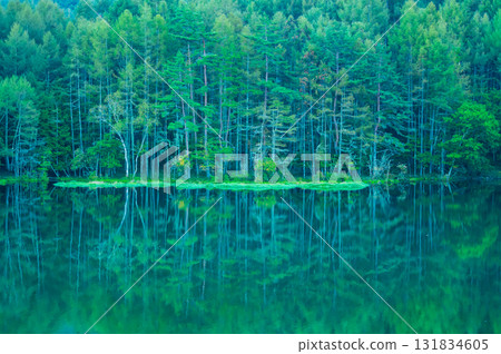 清晨神秘的米沙卡池塘 131834605