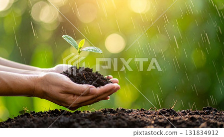 人工智慧生成的雨中雙手捧著一株幼苗的圖像,代表生態與環境 人工智慧生成的雨中雙手捧著一株幼苗的圖像,代表生態與環境 131834912