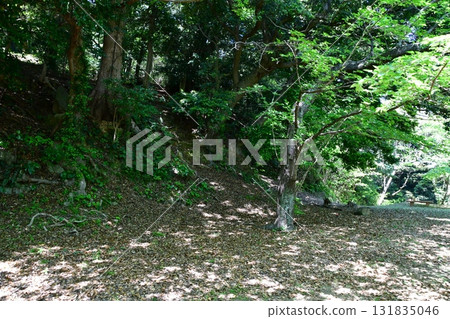 Hamada Castle 140 Enshrinement Tower Bailey Hamada Castle 140 Enshrinement Tower Bailey 131835046