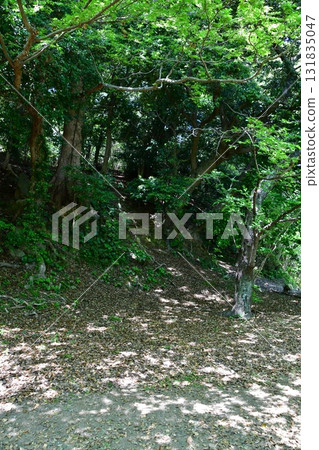 Hamada Castle 141 Enshrinement Tower Bailey Hamada Castle 141 Enshrinement Tower Bailey 131835047