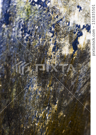 Algae Stains On Wet Concrete Floor With Flowing Water, detailed close up photography capturing texture, natural patterns, and movement, ideal for environmental and creative advertising. 131835501