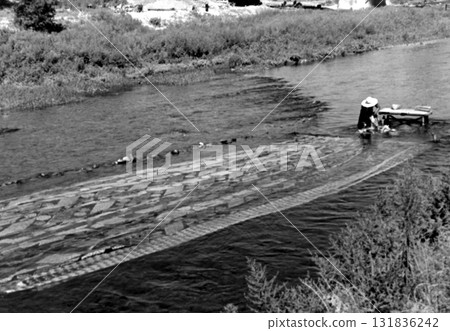 1956 年的老照片,京都,鴨川友禪節 1956 年的老照片,京都,鴨川友禪節 131836242