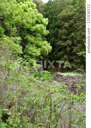 濱田城194 中之門遺址 濱田城194 中之門遺址 131836312