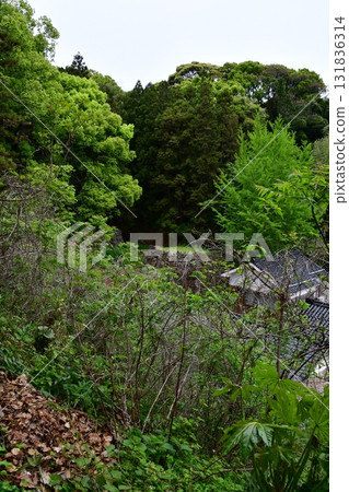 濱田城196 中之門遺址 濱田城196 中之門遺址 131836314